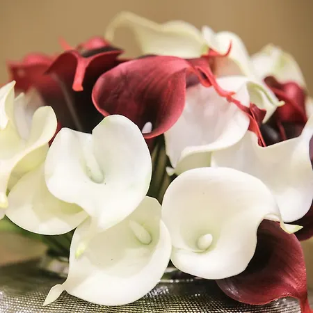 Suites Guest House 3* 카스카이스